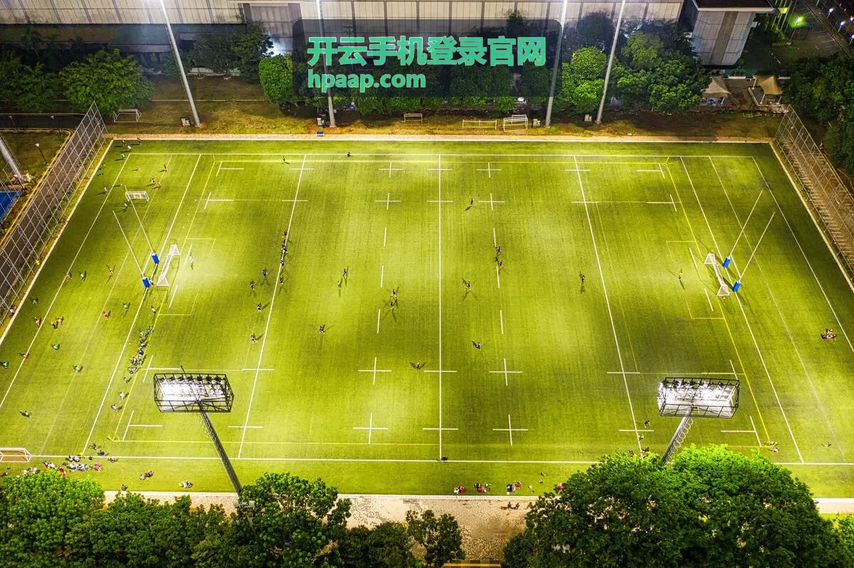 开云手机登录官网合规公示分类封面